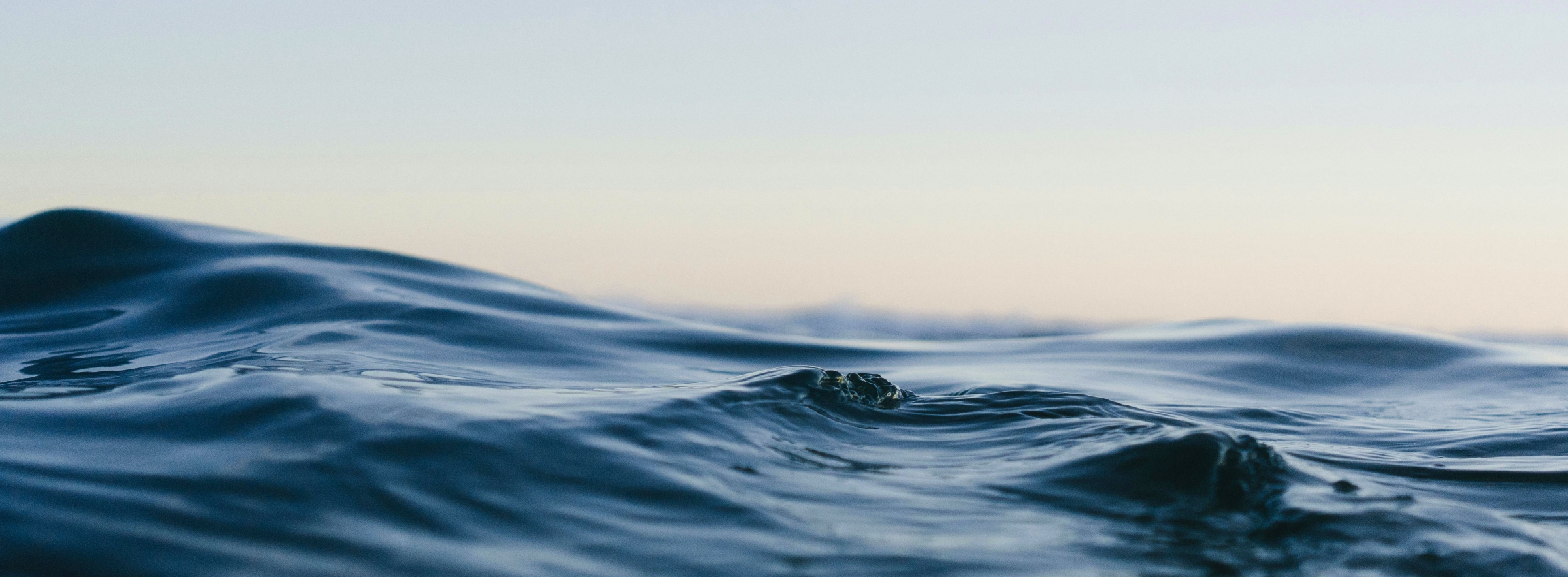 https://www.ssfram.com//explorer/images/pexels-matthardy-1533720%20kopiera.jpg